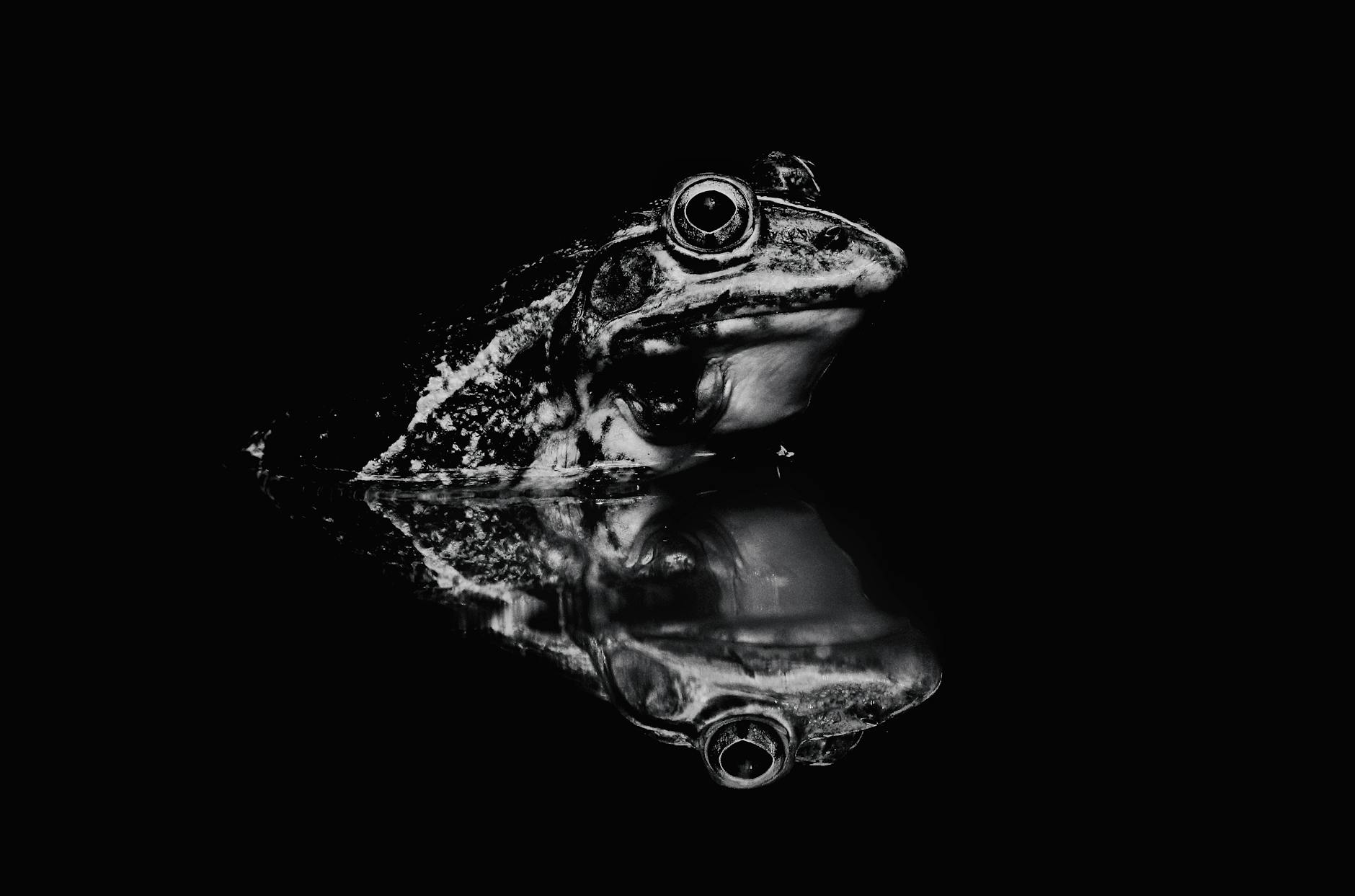 Misusing Scriptures and Boiling Frogs